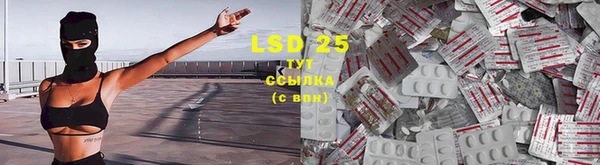 герыч Майский