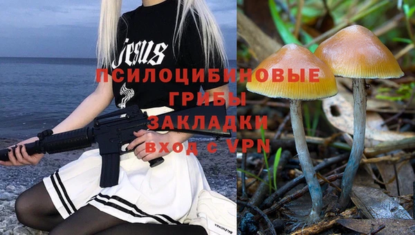 крисы Медвежьегорск