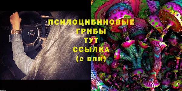 не бодяженный Магас