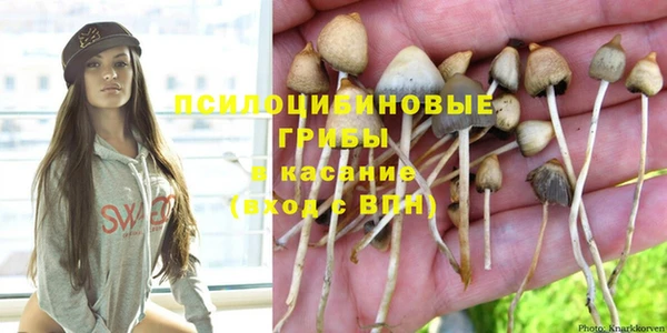 крисы Медвежьегорск