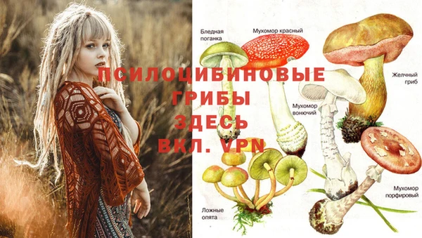 не бодяженный Магас