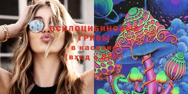 apvp Мегион